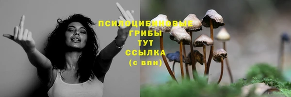 прущий лед Верхний Тагил